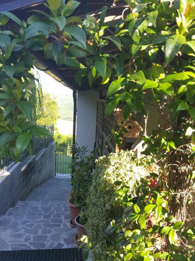 La Terrazza Sui Vigneti-Rovescala Bed & Breakfast San Damiano al Colle Exterior photo